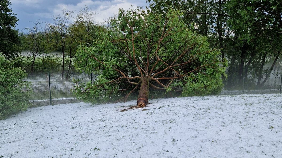 Un percorso di golf in Brianza dopo la grandine 