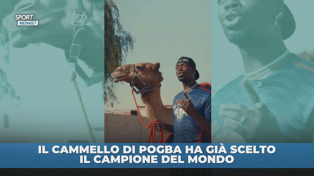 Il cammello di Pogba ha già scelto il campione del mondo