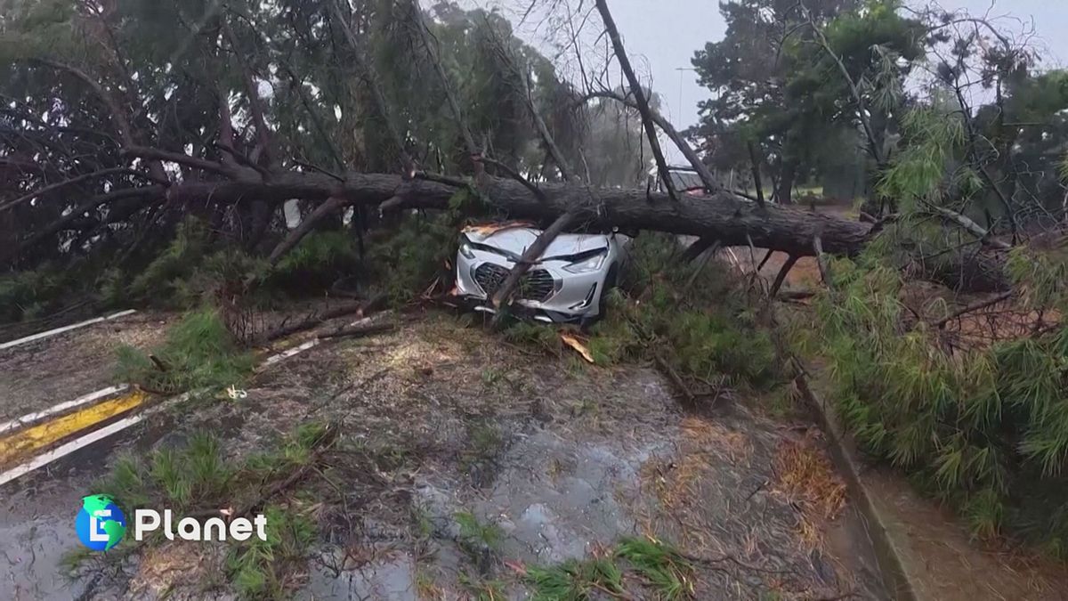 Il clima presenta il conto