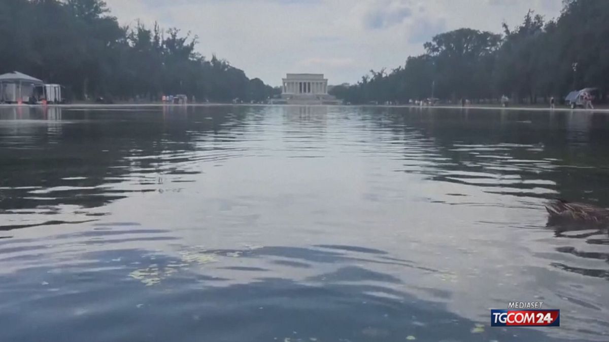 La "reflecting pool" di Trump si riempie di... alghe