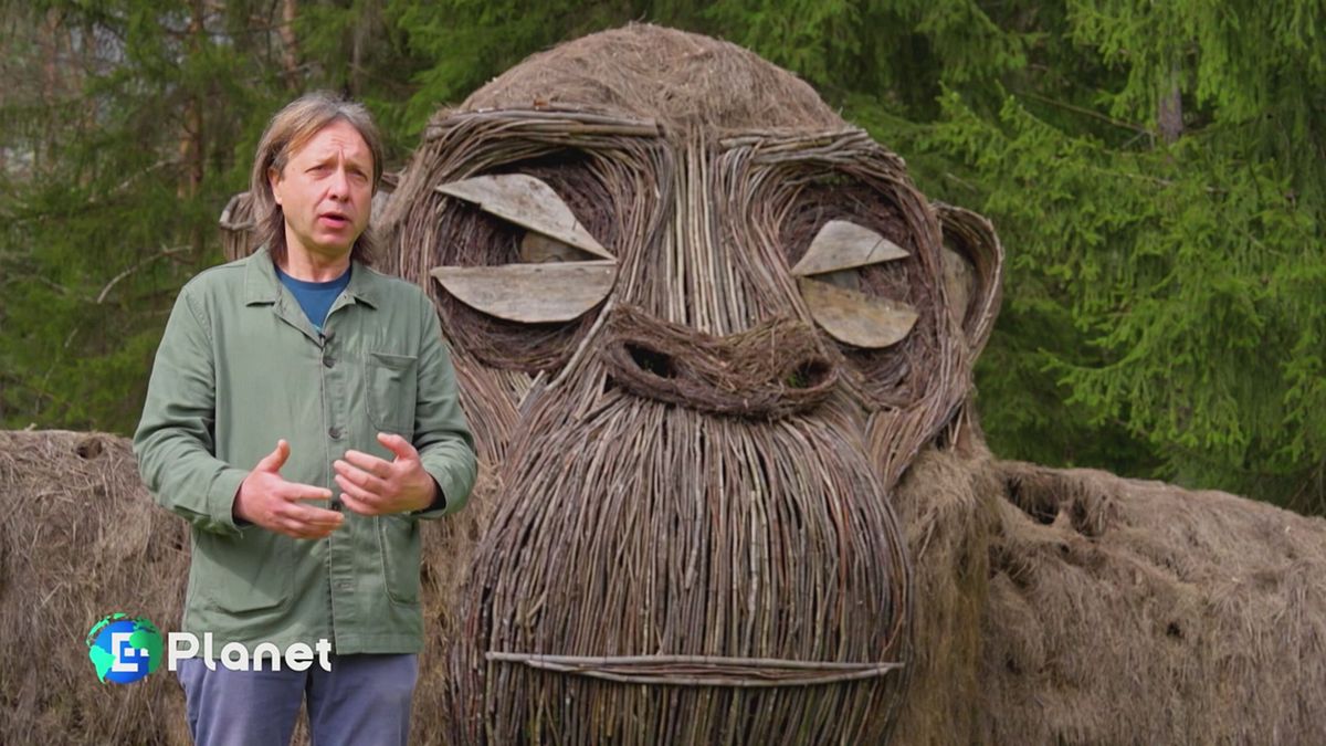 Puntata del 21 giugno