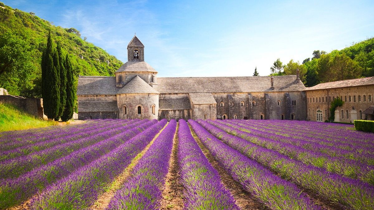  Da Nizza: Abbazia di Senanque, in Provenza 