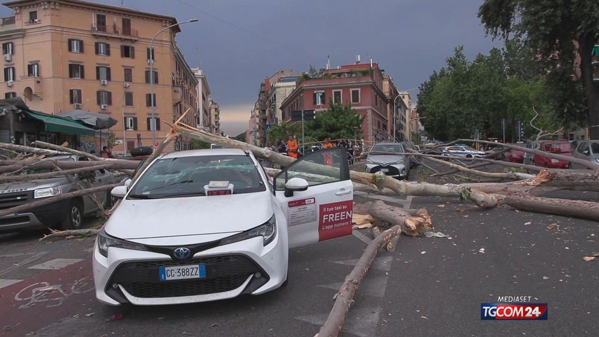 taxi roma per sito SRV