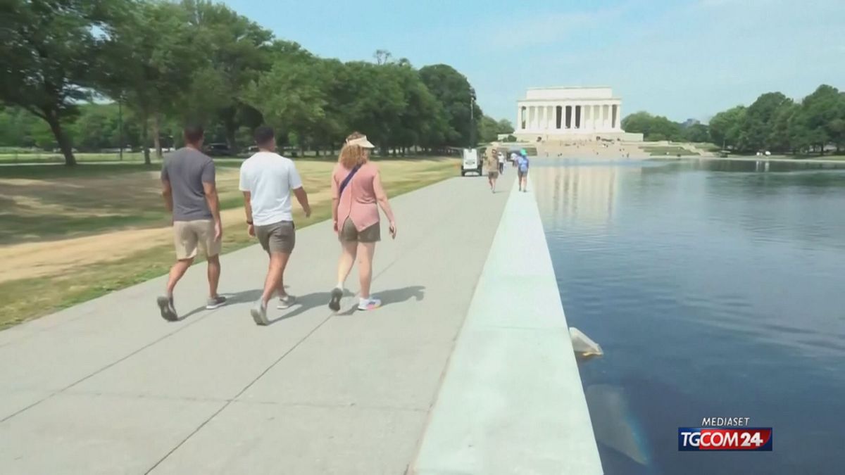 TRUMP SU REFLECTING POOL X SITO SRV