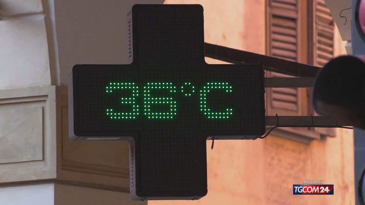 12.00 CALDO  SRV