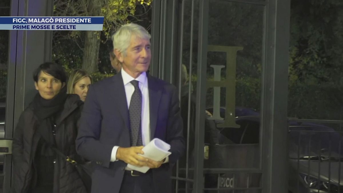 Figc, Malagò presidente