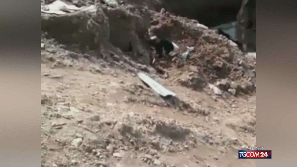 19.00 VENEZUELA, IL CANE EROE SRV