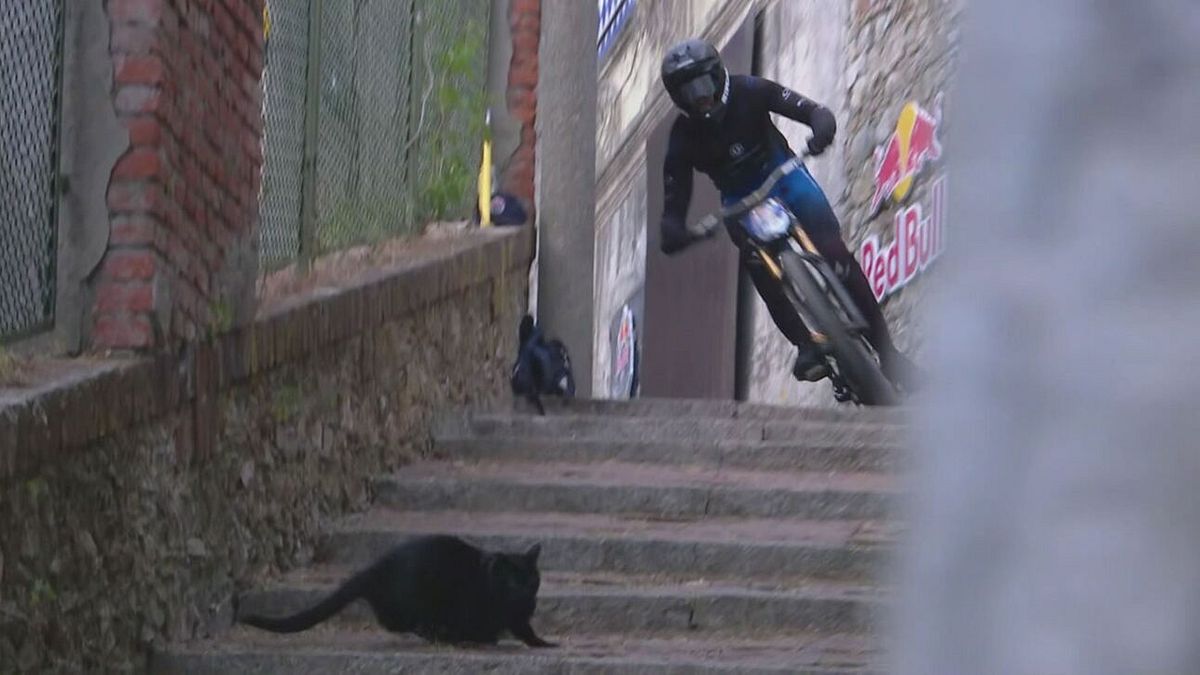 Red Bull Cerro Abajo: gatto nero taglia la strada, telecronista terrorizzato