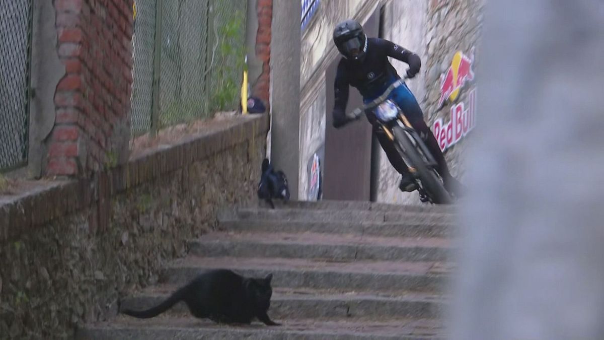 Red Bull Cerro Abajo: gatto nero taglia la strada, telecronista terrorizzato