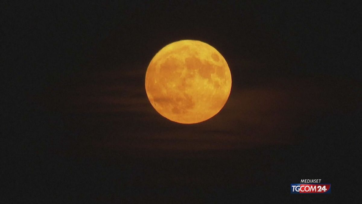 18.00 MCH AUSTRIA LUNA DELLE FRAGOLE MCH