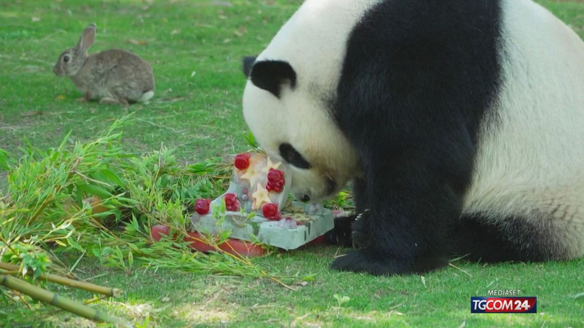 ZOO SPAGNA X SITO SRV