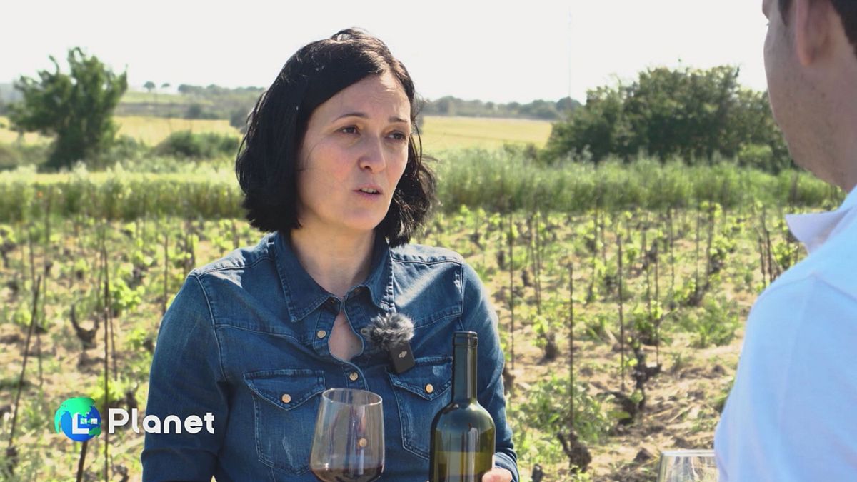 Il vino dell'estremo Sud