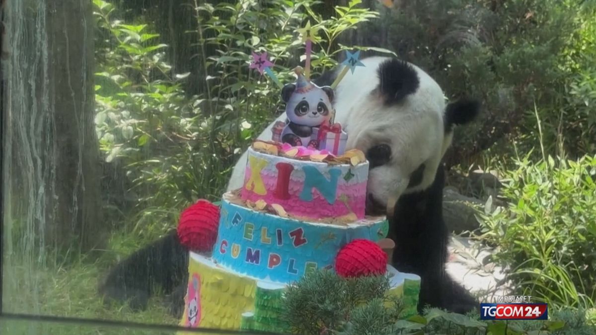 COMPLEANNO PANDA X SITO SRV