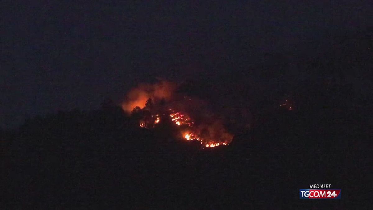 INCENDI VERBANO CUSIO OSSOLA X SITO SRV