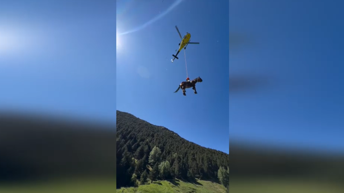 Andorra, un cavallo ferito viene imbracato e salvato in elicottero