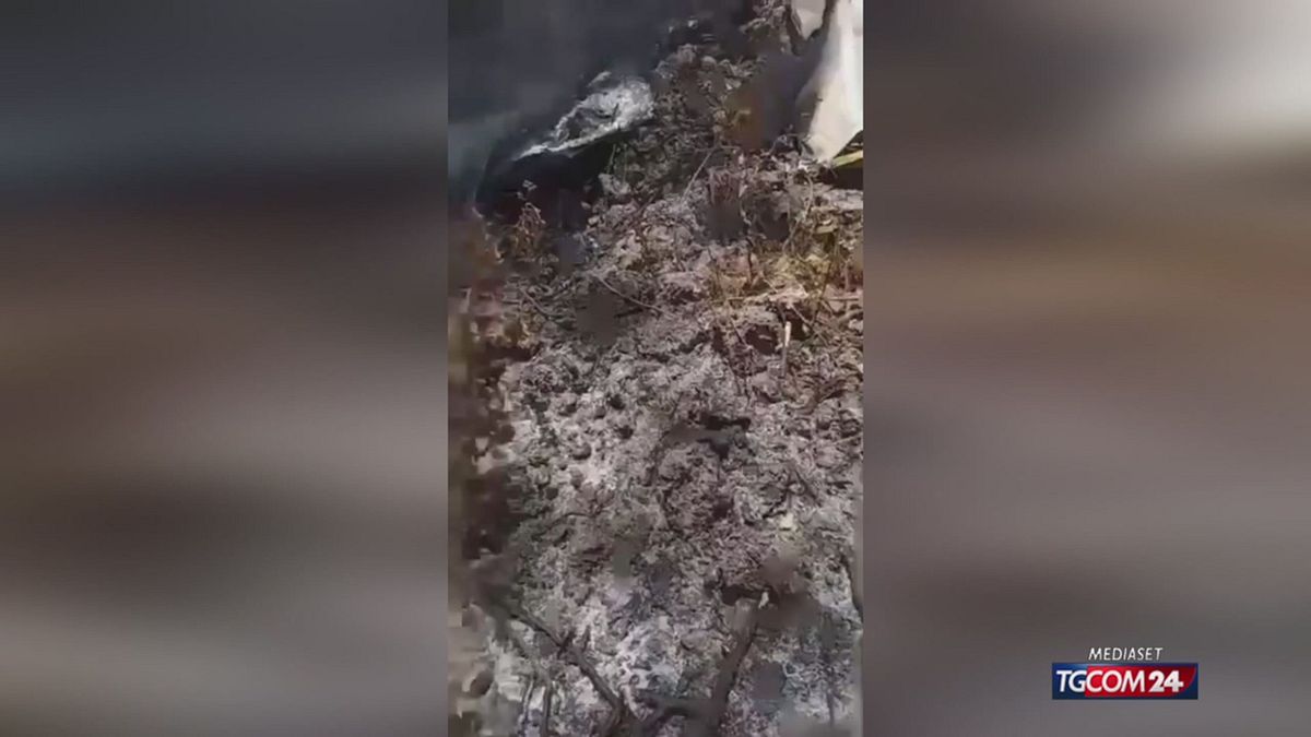 Disastro aereo Bahamas X SITO SRV