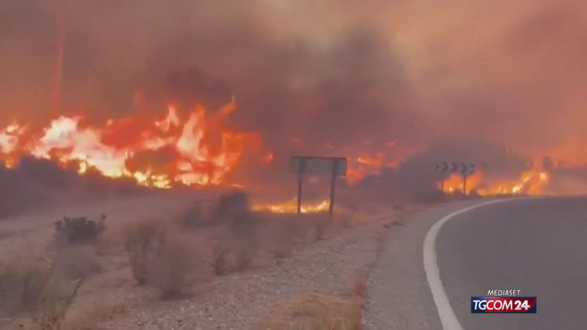 12.00 SPAGNA ROGO E CALDO EUROPA SRV