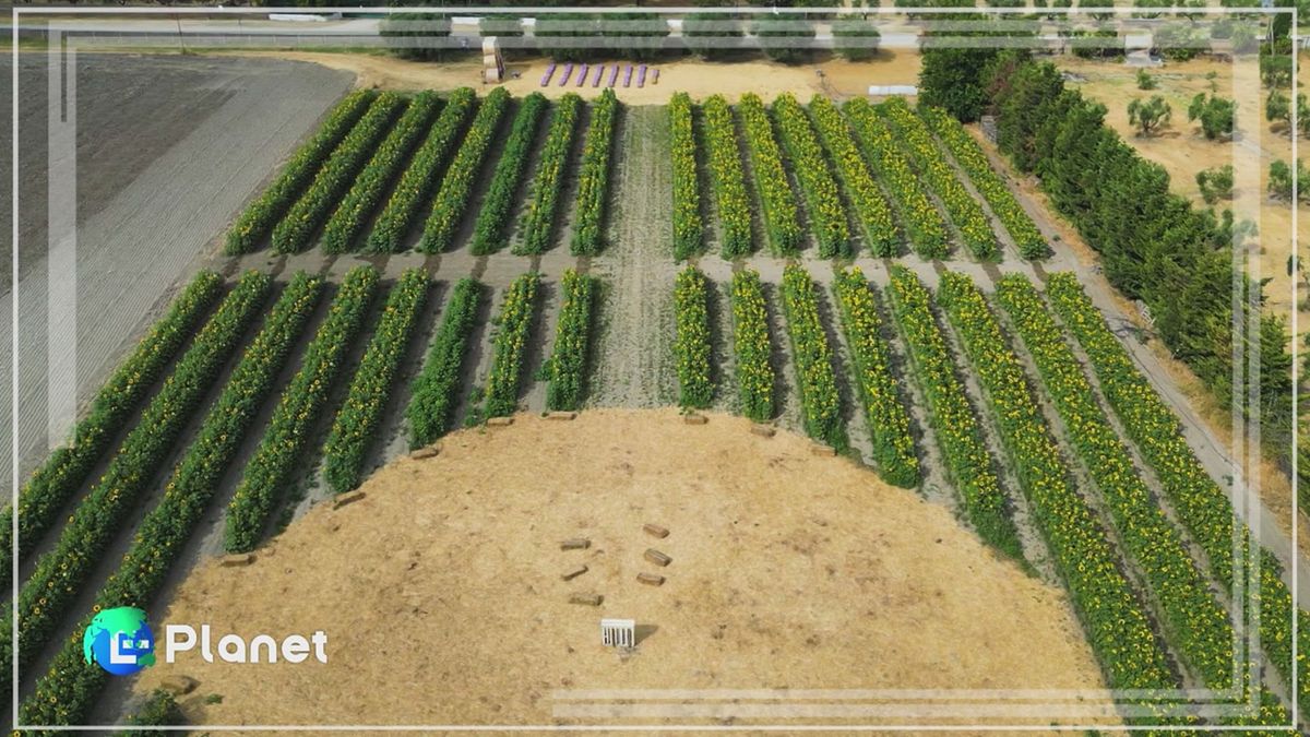 Cascina Savino: l'agricoltura delle relazioni
