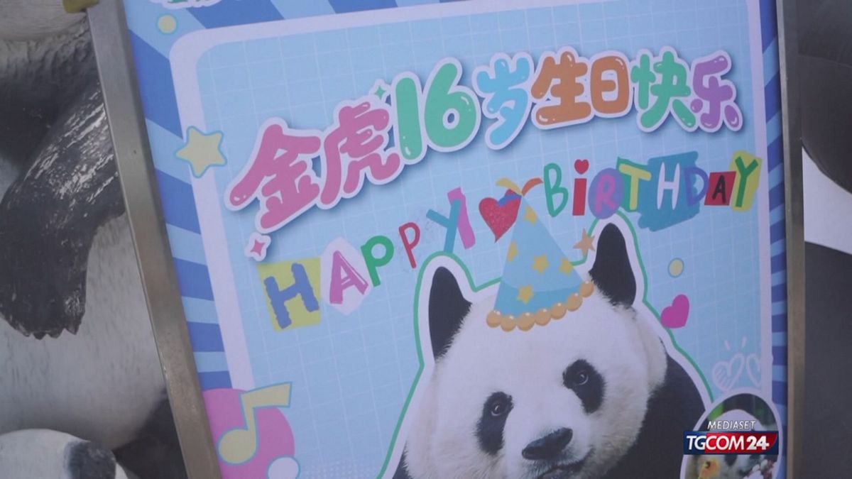 12.00 FESTA PER I PANDA MCH