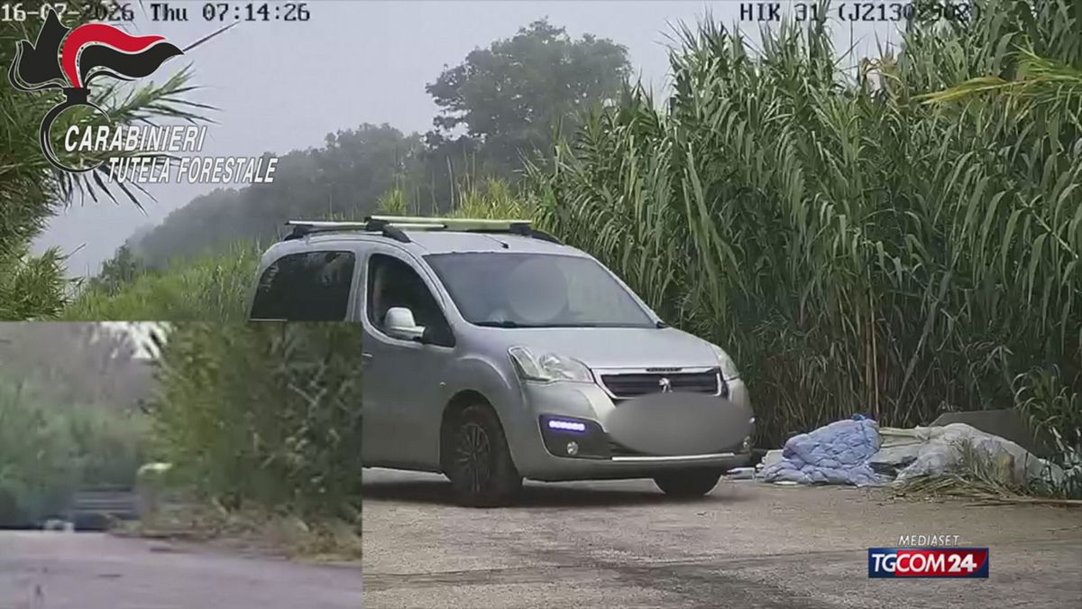 ABBANDONO CANE NAPOLI  X SITO SRV
