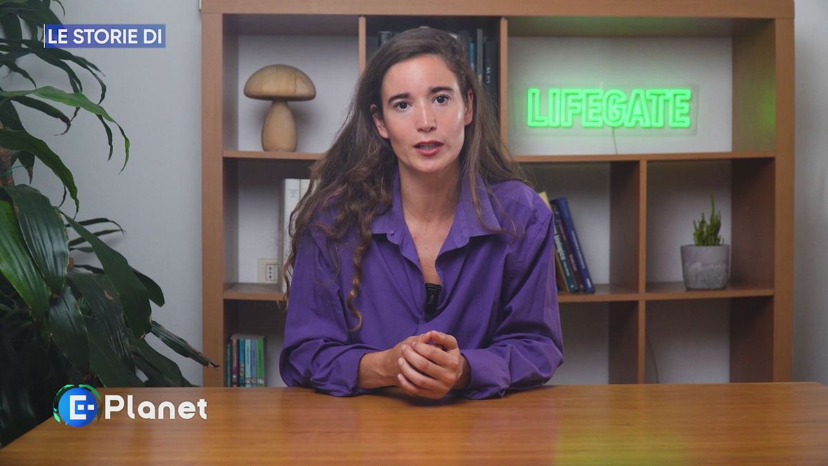 Le storie di LifeGate