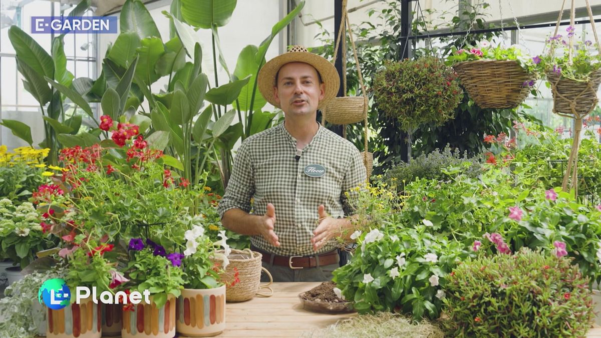 E-Garden: i vasi pensili
