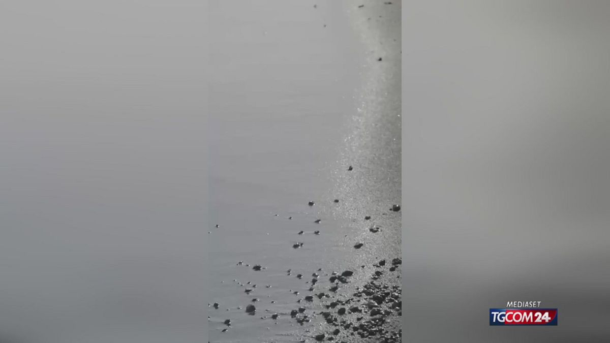 VIDEO VULCANA STROMBOLI SRV