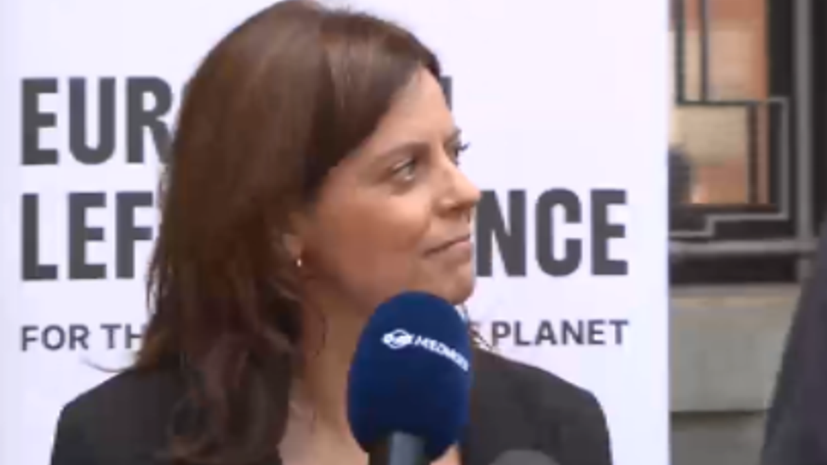 Ilaria Salis licenzia illecitamente due collaboratori, condannata a multa da 300mila euro