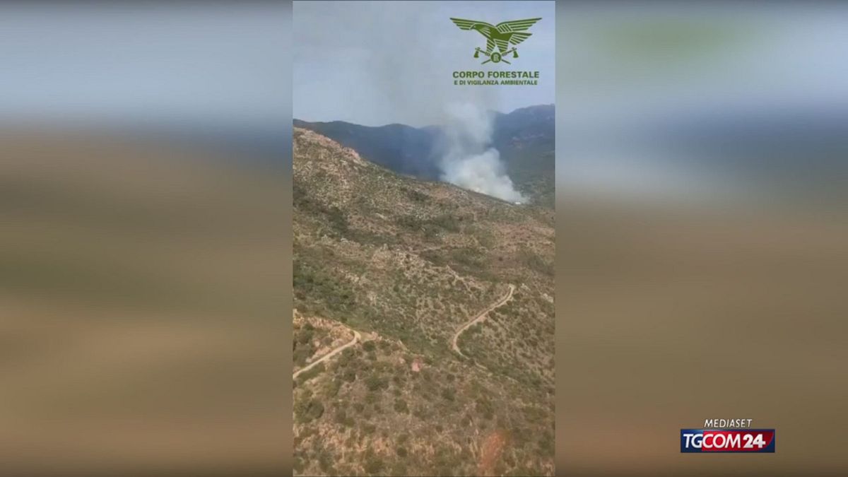 INCENDIO SINNAI SITO SRV