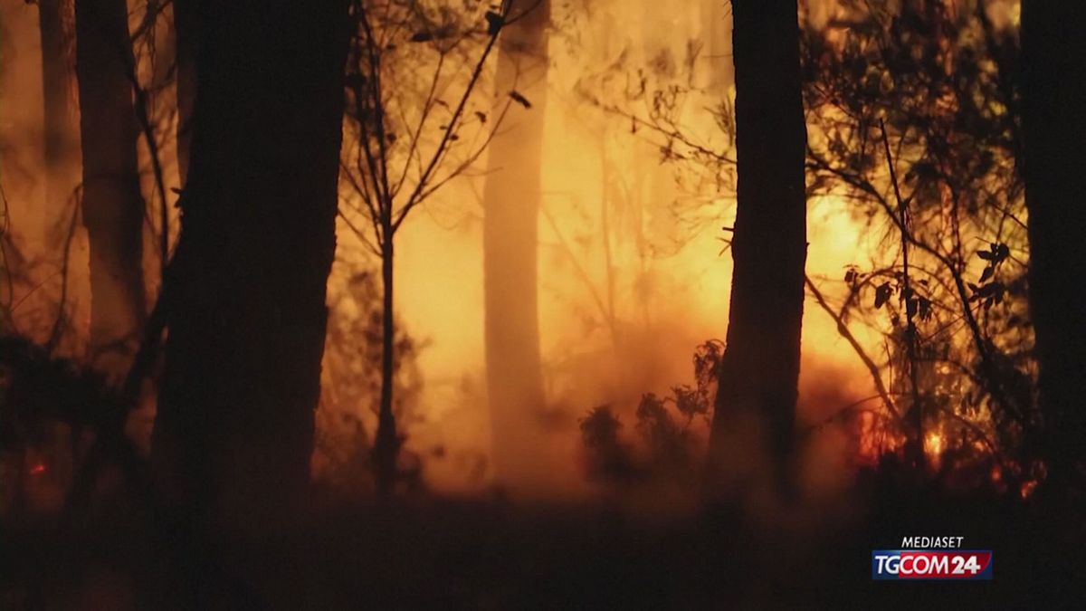 INCENDI FRANCIA PER SITO SRV