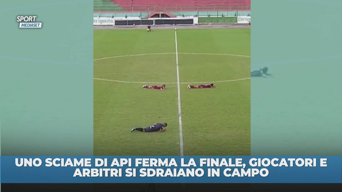 Giocatori e arbitri per terra: il motivo è surreale