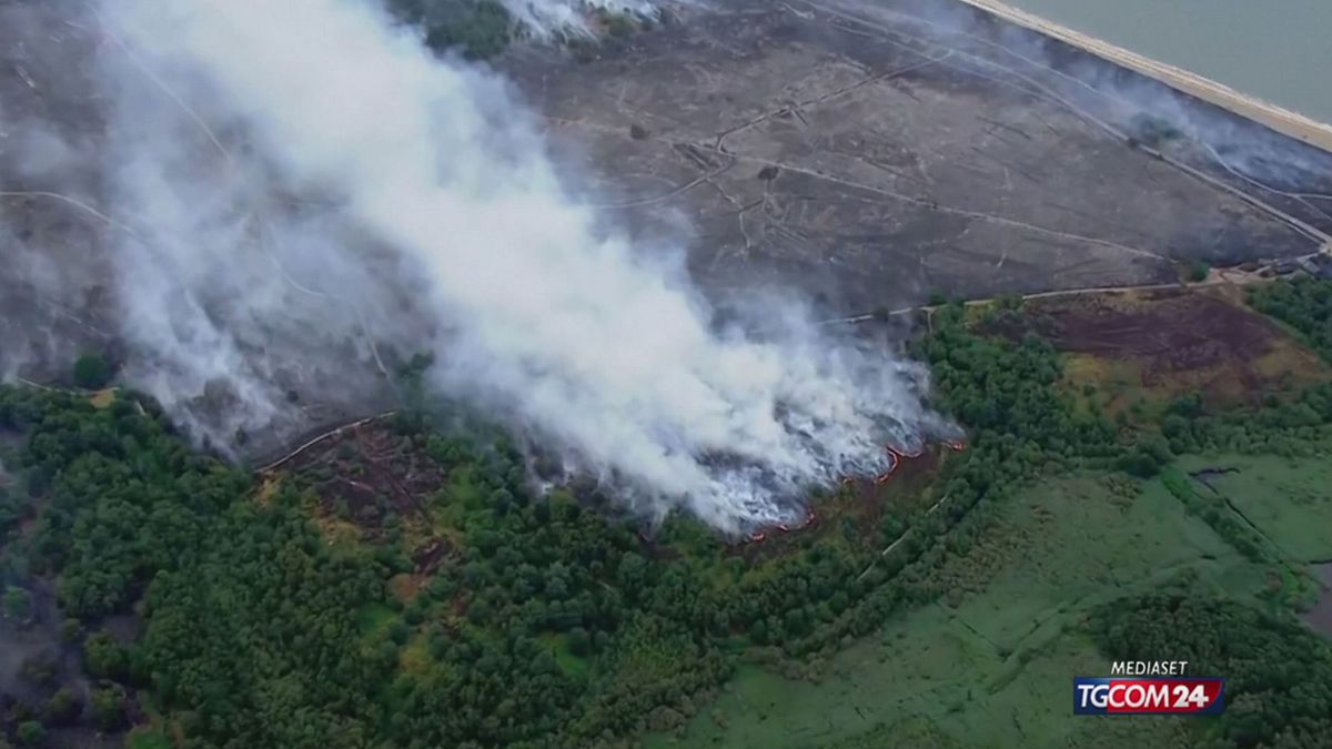 Un incendio infuria nella contea di Suffolk, poco lontano dagli impianti nucleari