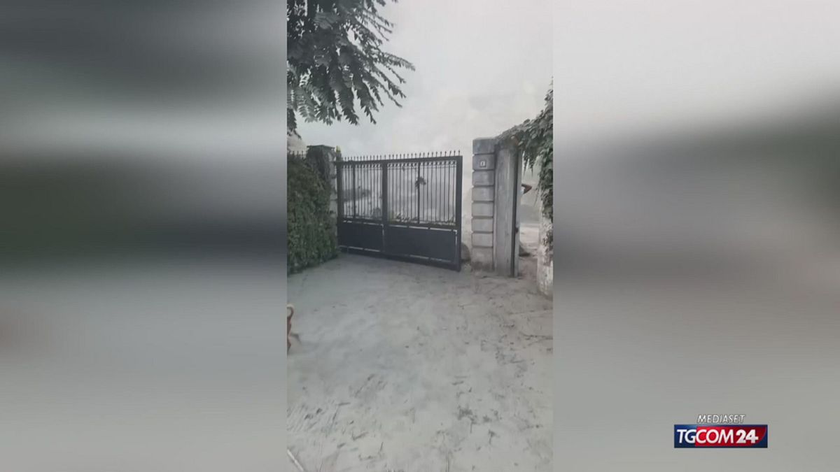 TERREMOTO NAPOLI 2 X SITO SRV
