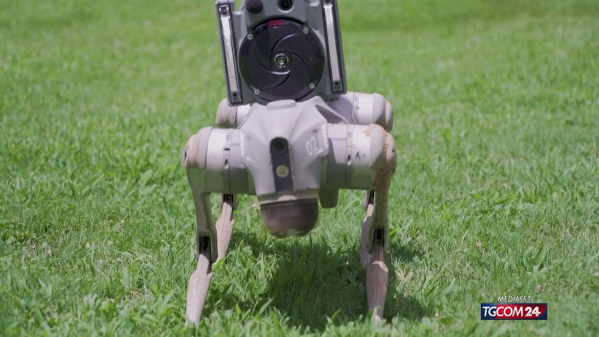 12.05 ROBOT GUARDIE GIURATE SRV
