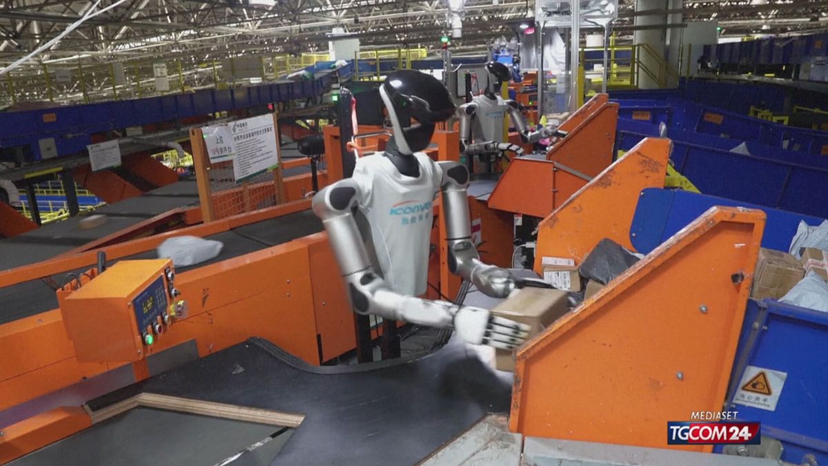 Robot umanoidi smistano pacchi al ritmo di 1200 pezzi l'ora