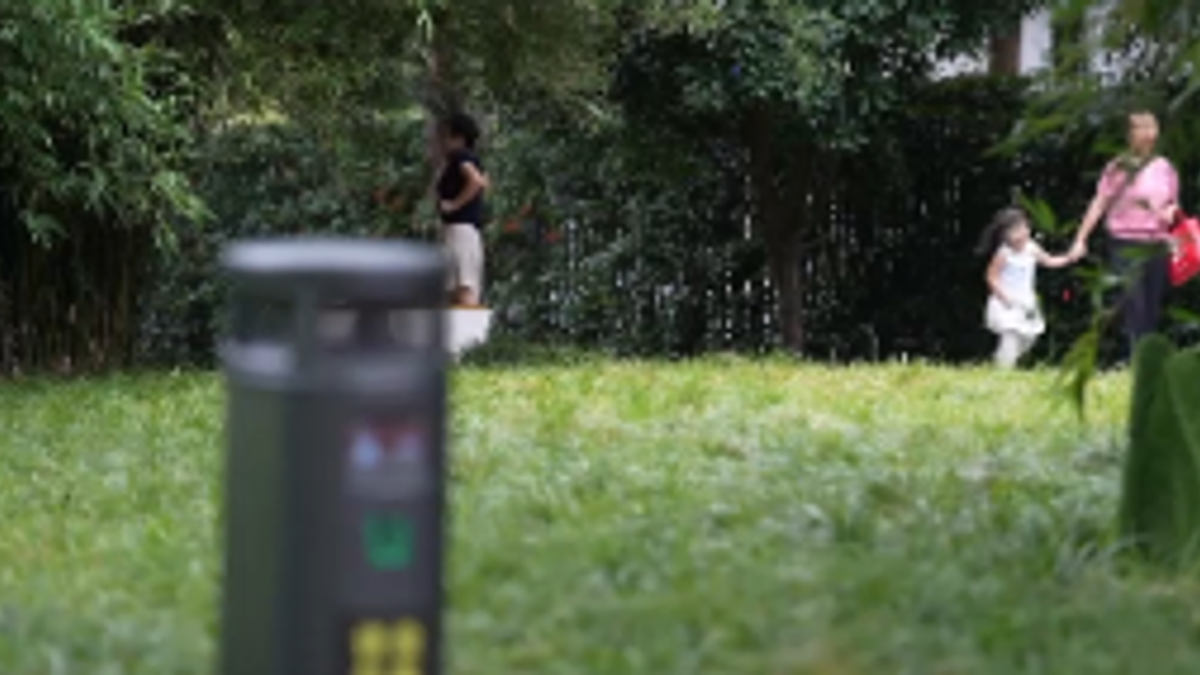 Nei parchi cinesi ci sono delle macchine killer di zanzare