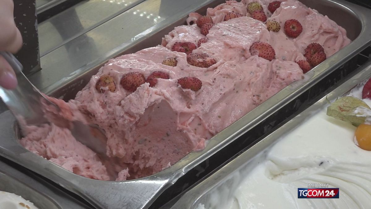 18.00 GELATI ALLA FRUTTA SRV