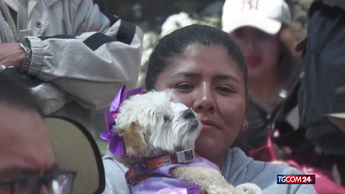 BOLIVIA GIORNATA DEL CANE SRV