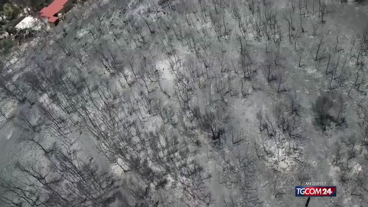 INCENDIO SALAMINA X SITO SRV