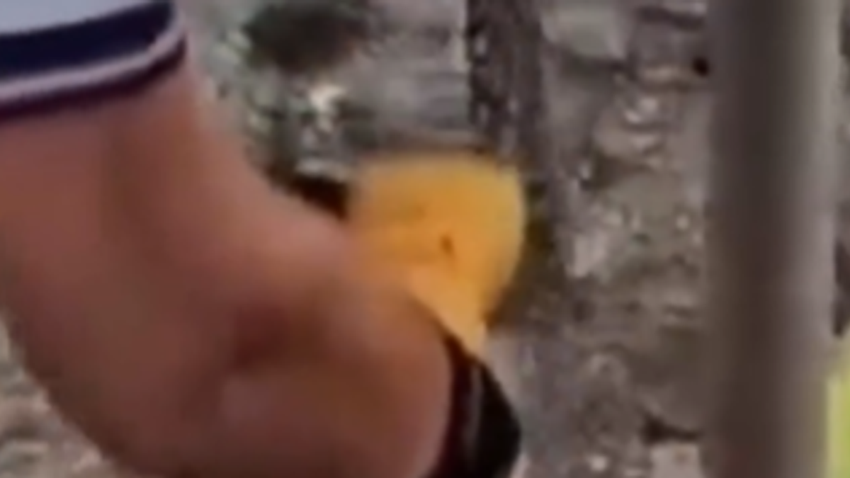 Ombrelloni e sedie incatenati per "prenotare" il posto in spiaggia: serve la smerigliatrice per rimuoverli