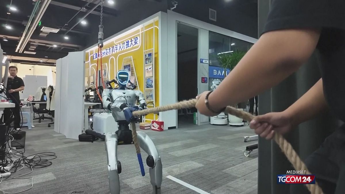 18.05 SRV ROBOT TUTTOFARE SRV