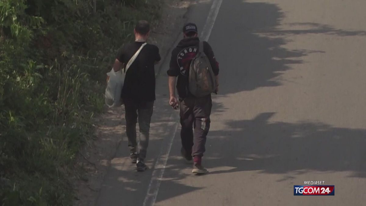 18.00 BOSCO DELLA DROGA NON VA IN VACANZA SRV