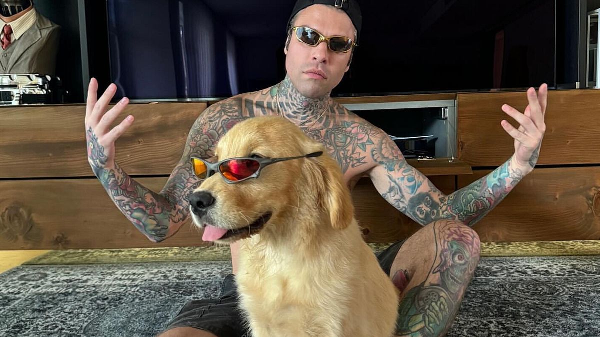 Fedez e Giulia Honegger al canile di Olbia: da Silvio a Maurizio, tutti i cani nella vita del rapper