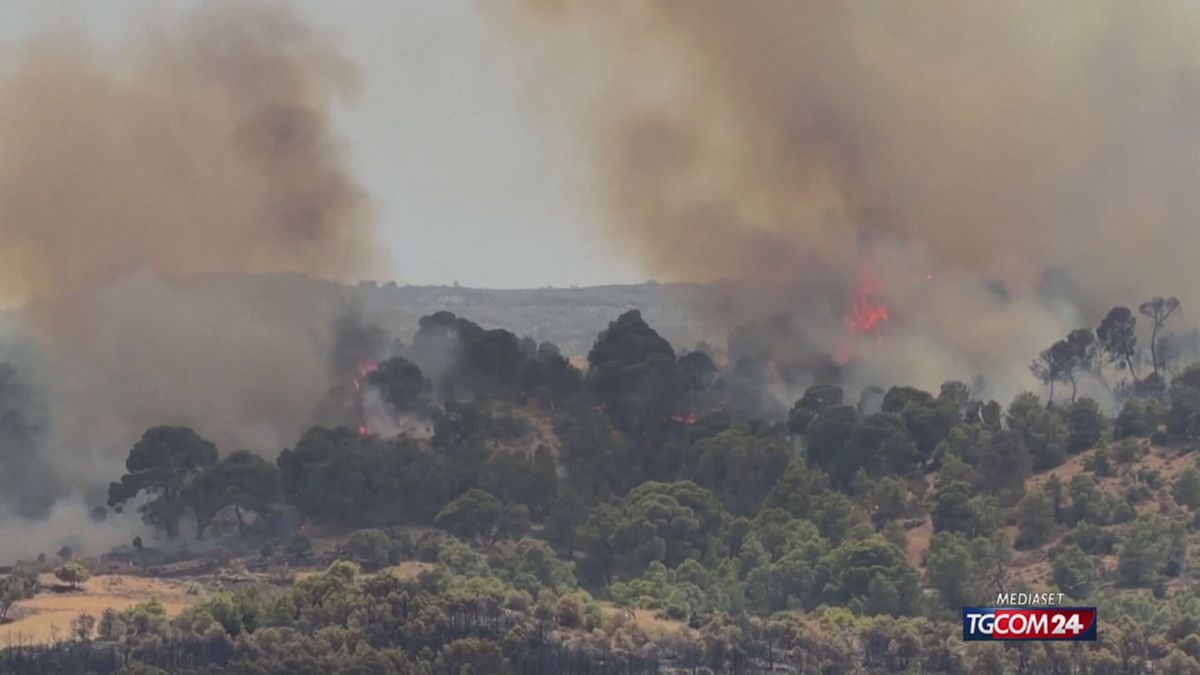 Algeria INCENDI X SITO SRV