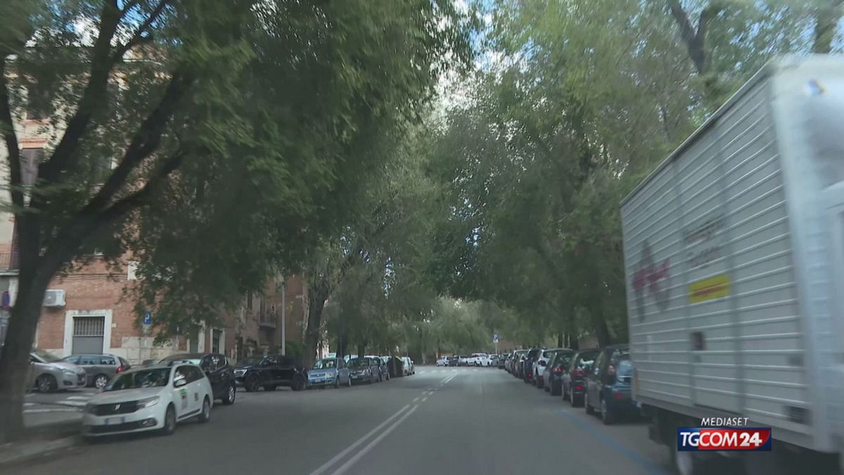 18.00 ROMA ALBERI SRV