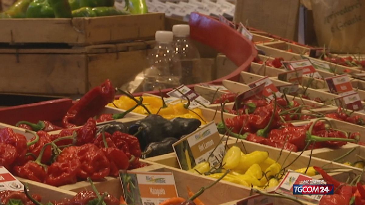 18.05 ALIMENTARI, STRANGATA NEI PROSSIMI TRE MESI