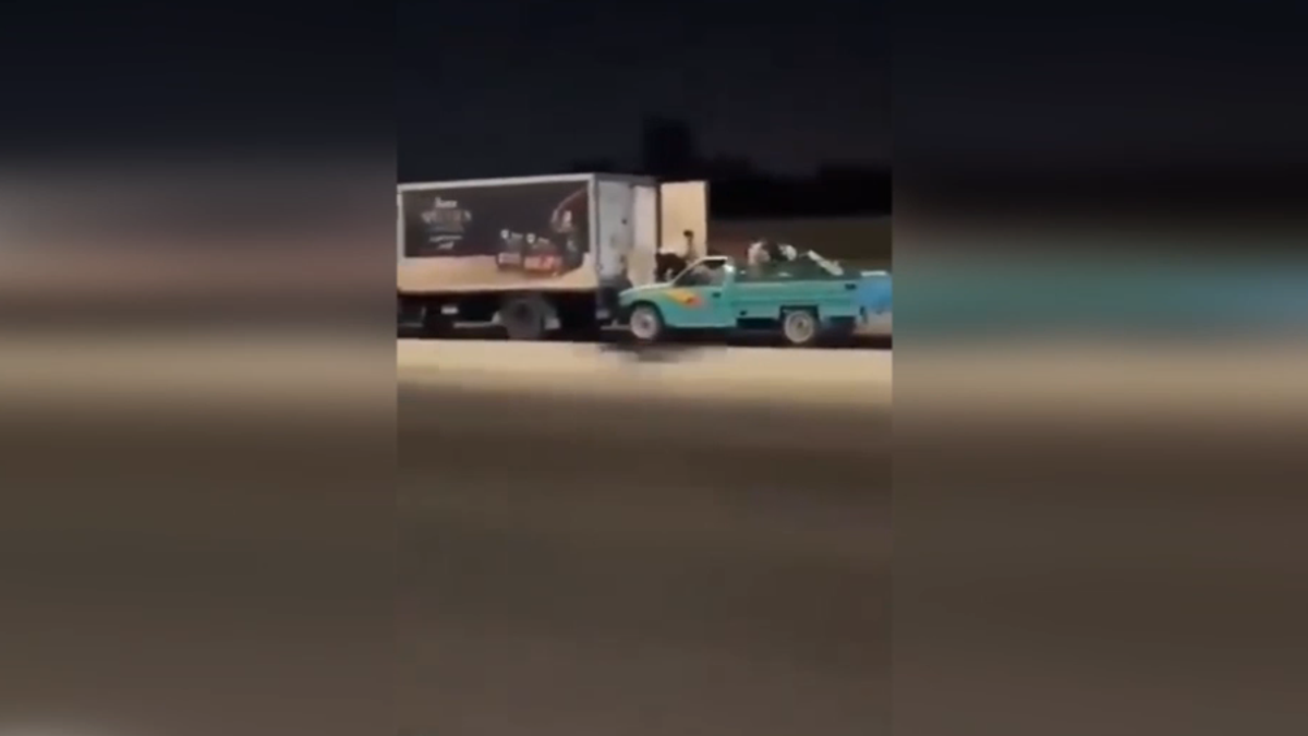 Egitto, camion dirottato in corsa per... rubare 105 chili di pollo congelato