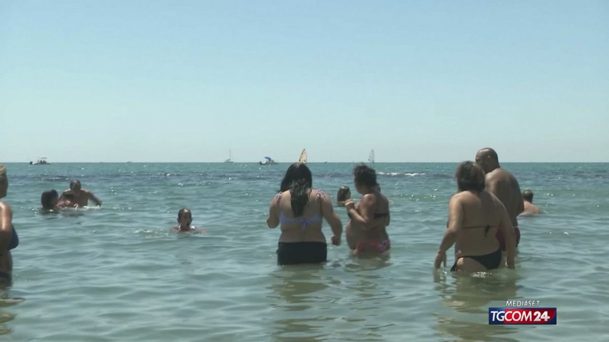 18.01 CANI E GATTI A DIETA DOPO LE VACANZE SRV