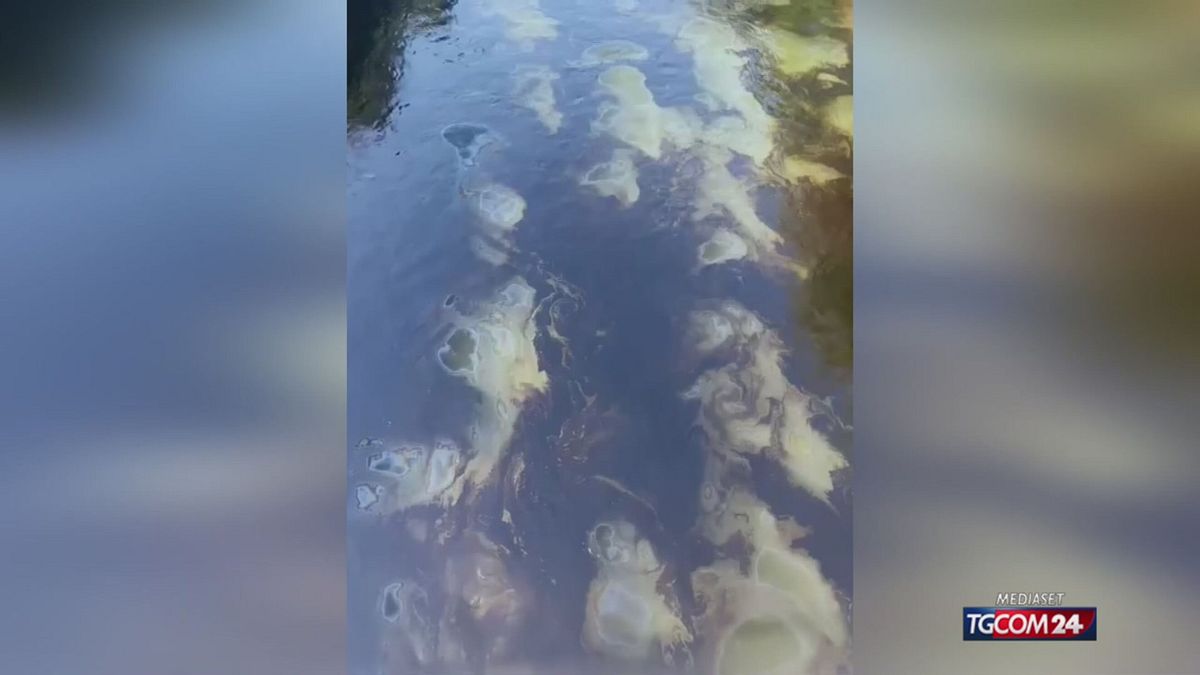 gasolio naviglio per sito SRV