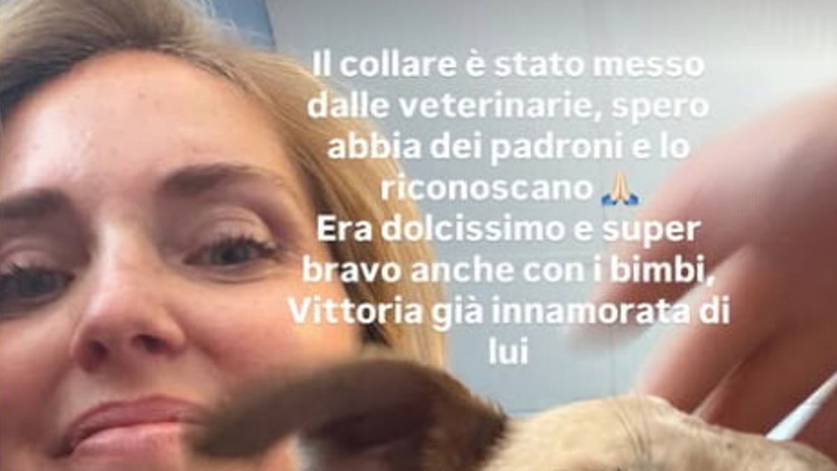 L'appello di Chiara Ferragni su Instagram